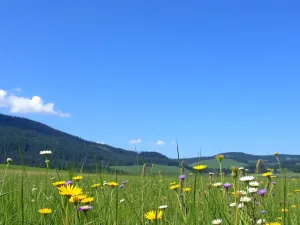 Chłodne refleksy na ciemnych włosach: jak je uzyskać i pielęgnować?